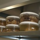 Cerebros conservados para investigación.