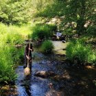 Uno de los técnicos de CHD obteniendo un muestreo en un río de la provincia.