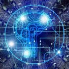 Nuevos avances en el conocimiento del funcionamiento cerebral.