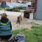 GUARDIA CIVIL