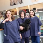 El equipo de la Clínica Veterinaria San Marcos.