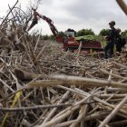 Imagen de archivo de los trabajos de búsqueda y limpieza en las zonas afectadas por la dana del pasado 29 de octubre. EFE/ Kai Forsterling