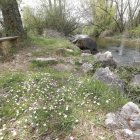 El río Porma baña este municipio y deja rincones especiales.