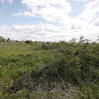 Un paraje rústico del terreno que se compró para ser plataforma logística.