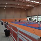 El judo leonés recuperó la disputa por equipos.