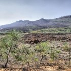 Montes afectados por el incendio de Castrocontrigo de 2012.