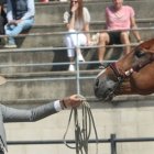 Un jinete y su caballo, en una imagen de la Feria del Caballo de Camponaraya de la edición del año pasado.