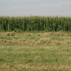 La propuesta de simplificación de la PAC se vende como la respuesta a las demandas de los agricultores.