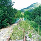 La vías del antiguo tren se llenaron de maleza. R. G.-QUEVEDO