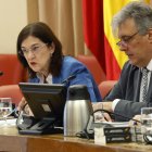 La presidenta de la Comisión Nacional del Mercado de la Competencia, Cani Fernández.