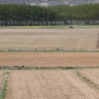 Siembra de fincas en Los Payuelos.