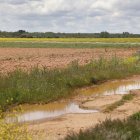 Fincas anegadas en la vega del Esla.