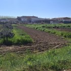 Imágenes de las zonas de los huertos y el canal seco.