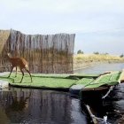 Un corzo camina sobre una de las rampas instaladas en el Canal de Arriola.