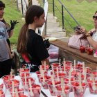 La fresa volverá a ser protagonista en junio.