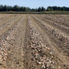 Campo arado en la provincia de León.