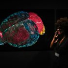 Una mujer pasa por un dibujo del cerebro.