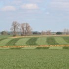 Concentracion parcelaria de secano en la zona de Páramo.
