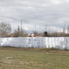 El forraje se vende para alimentar al gamado.