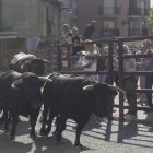 El último encierro de las fiestas se desarrolló sin incidentes.