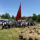 Alrededor de 2.000 personas se dieron cita este sábado en Prioro para no perderse su Fiesta de la Trashumancia.