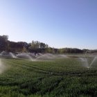 Un campo de regadío cultivado en un pueblo de León.
