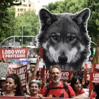 Más de medio centenar de organizaciones ecologistas convocaron la manifestación.