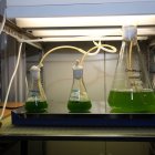 Uno de los laboratorios de la Universidad de León.
