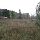 Parcela, dentro de la dehesa del Valsemana, donde se construirá el nuevo centro.