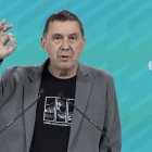 El coordinador general de EH Bildu, Arnaldo Oteg.