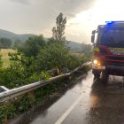 Árbol caído en la carretera de Vegaquemada.