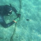 Una foto de archivo de un buzo sumergido en aguas del Atlántico.