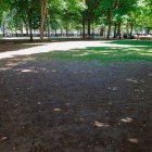 Las zonas del parque de San Francisco resembradas se han vuelto a pelar.