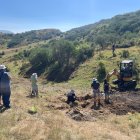 Comienzo de los trabajos de exhumación de la ARMH en Poladura de la Tercia.