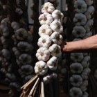 Feria Agroganadera y del Ajo de Veguellina.
