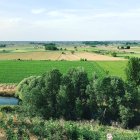 Fincas de cultivo en Valderas.