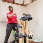 Fina Alija con gatos de acogida que tiene en su casa.