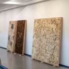 Instalación 'Filogramas' dentro de la exposición 'Verde, pulpa, riqueza'.