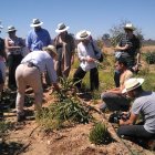 Visita a la finca de Carmona que cultiva aloe vera.