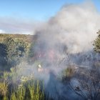 Bomberos forestales en Ferreras.