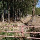 Uno de los canales secos por la falta de agua que dejó de llegar desde el 15 de mayo.