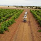 Visita a una explotación vinícola de la provincia.