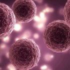 Una imagen simbólica de los óvulos.