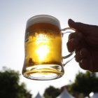 Los amantes de la buena cerveza tienen su cita este fin de semana en Carrizo de la Ribera.