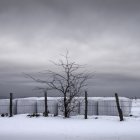 Imagen titulada ‘Encuentro en la sierra’, que forma parte de la exposición.