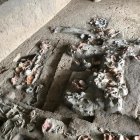 Un análisis reciente de dientes humanos de hace 4.000 años ha revelado los rastros más antiguos conocidos del consumo de nuez de betel, una sustancia psicoactiva ampliamente utilizada en Asia hasta la actualidad. En la imagen, entierros arqueológicos en Nong Ratchawat (Tailandia). Fotografía facilitada por Piyawit Moonkham.