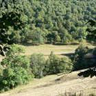 VALLE DE LACIANA - BOSQUE DE BRAÑA RONDA, EN RIOSCURO