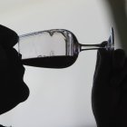 dl La Ruta del Vino de León avanza en su tramitación para sumarse a los destinos más promocionados del enoturismo español