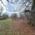 Camino de Páramo a Corbón del Sil donde se buscará a José Francisco Castro, que estaba huido en el monte.