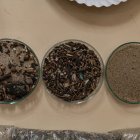 Los microplásticos rescatados por un proyecto pionero en Venezuela.